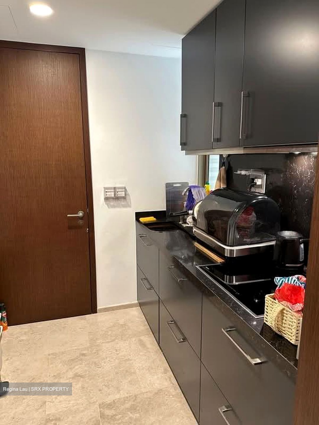 Draycott Park (D10), Condominium #532784331